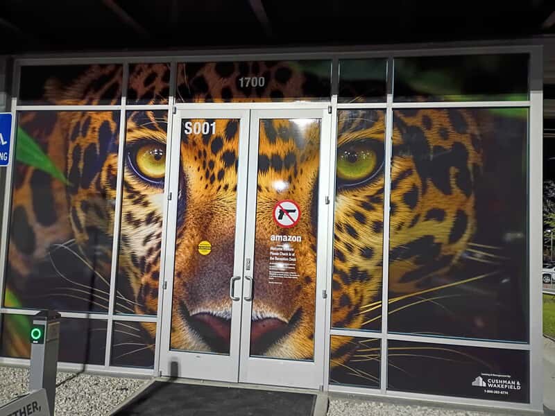 Window Graphics
